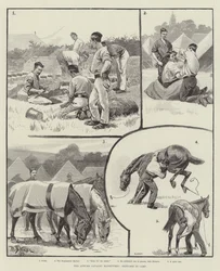 As manobras de cavalaria do outono, esboços no acampamento